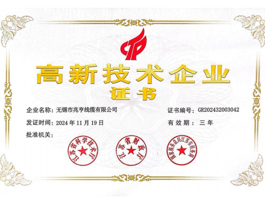 高新技术企业